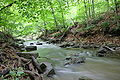 120px-Forest-Creek-Eagleville-PA-USA